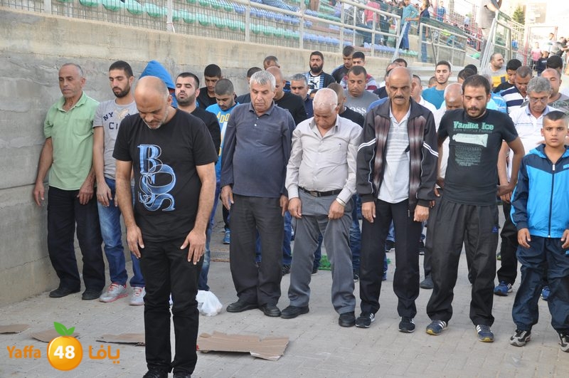 lud shababb5 (52).JPG